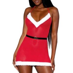 Santa’s Little Red Dress